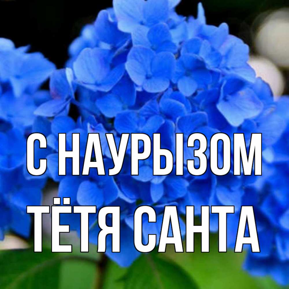 Открытка на каждый день с именем, Тётя-Санта С наурызом синие цветы Прикольная открытка с пожеланием онлайн скачать бесплатно 