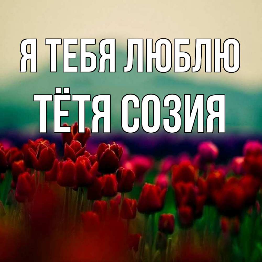 Открытка на каждый день с именем, Тётя-Созия Я тебя люблю тюльпаны 4 Прикольная открытка с пожеланием онлайн скачать бесплатно 