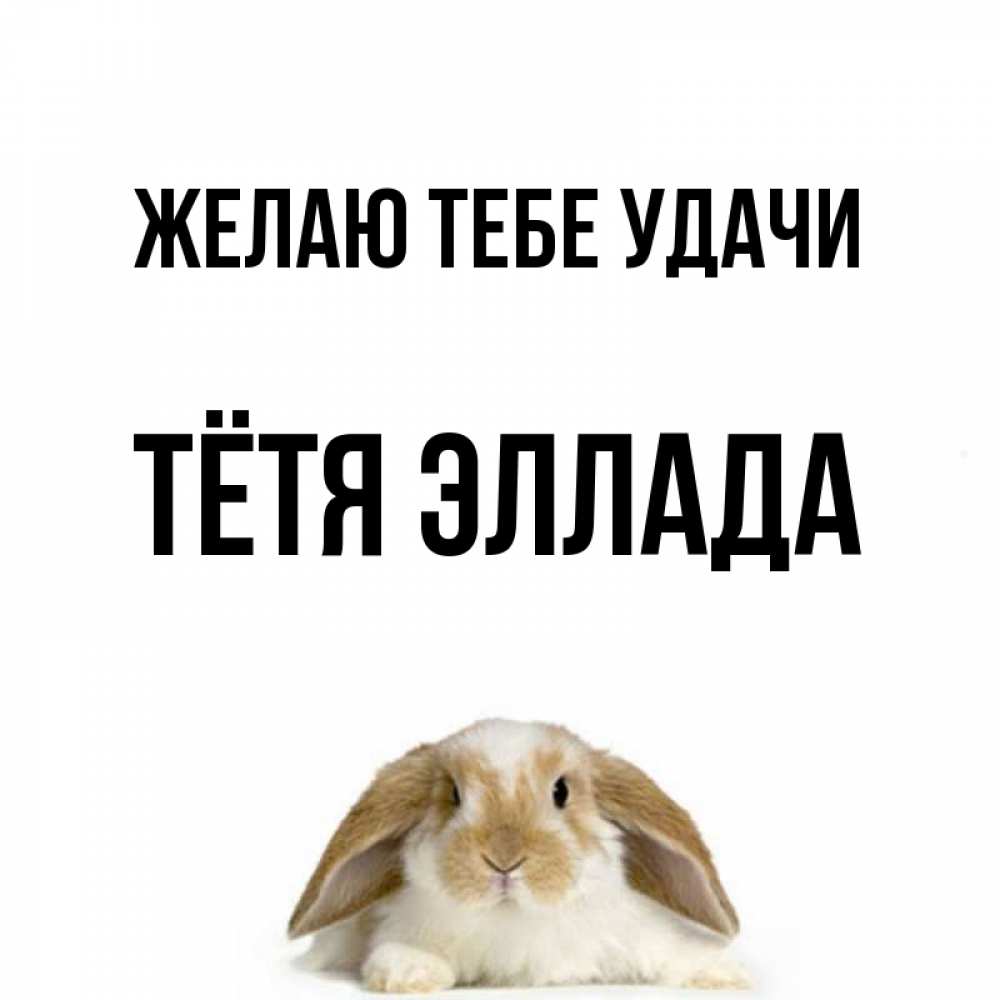 Открытка на каждый день с именем, Тётя-Эллада Желаю тебе удачи открытки с произвольным текстом который можно вставить в открытку и создать ее самостоятельно бесплатно онлайн Прикольная открытка с пожеланием онлайн скачать бесплатно 
