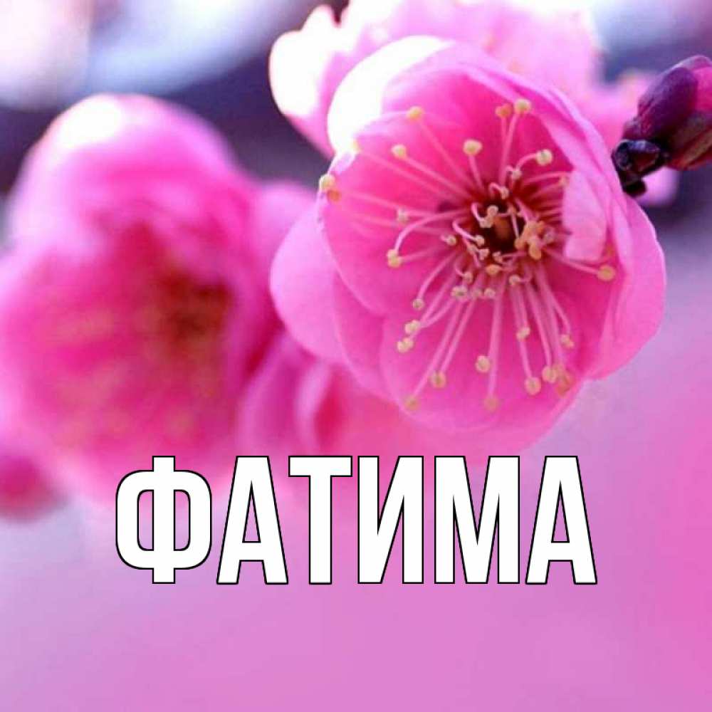 Открытка на каждый день с именем, Фатима Главная международный женский день Прикольная открытка с пожеланием онлайн скачать бесплатно 