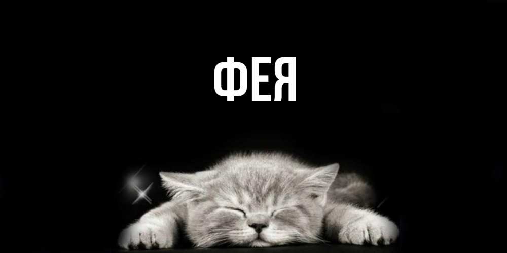 Открытка на каждый день с именем, Фея Главная спящий котик Прикольная открытка с пожеланием онлайн скачать бесплатно 