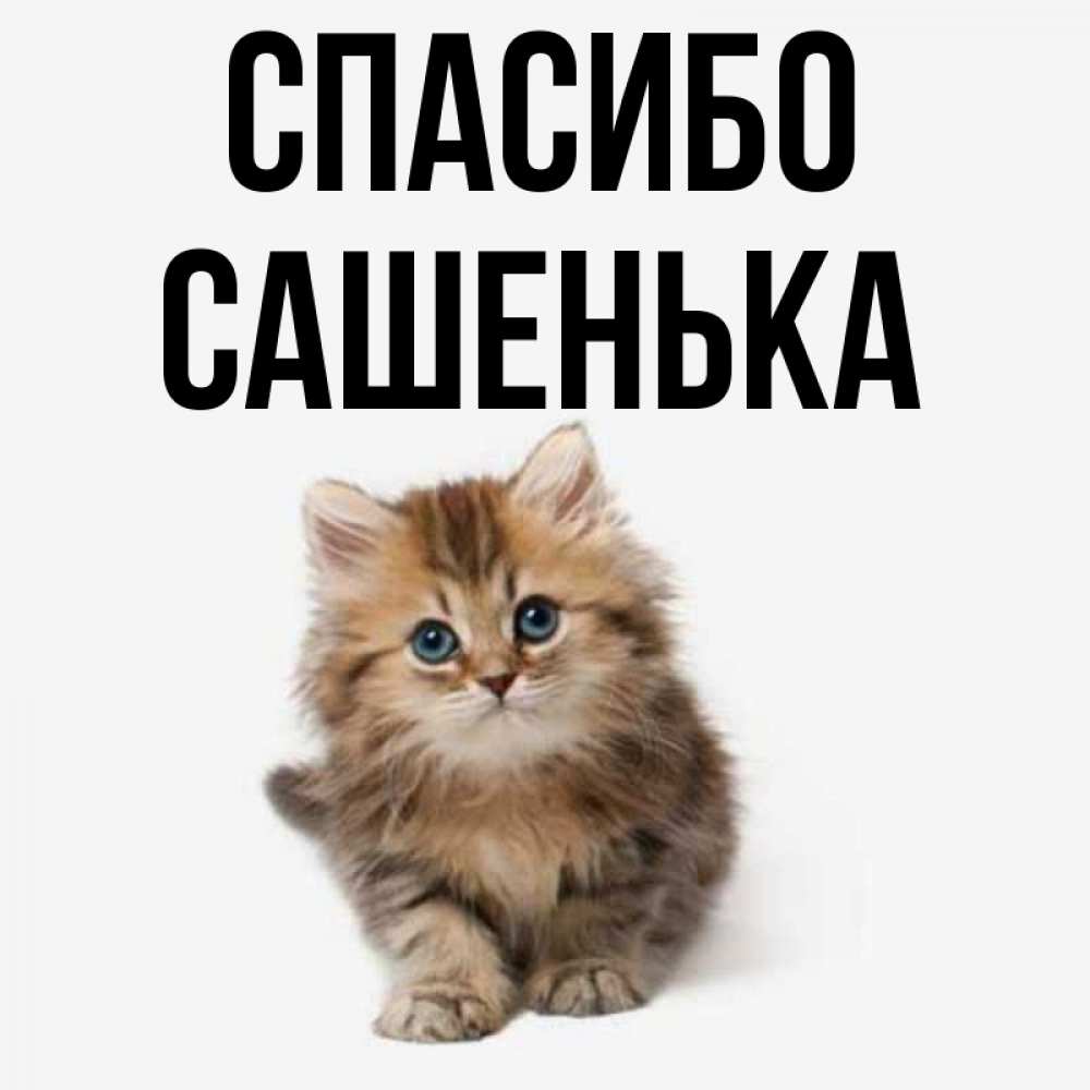 Спасибо сашенька картинки красивые