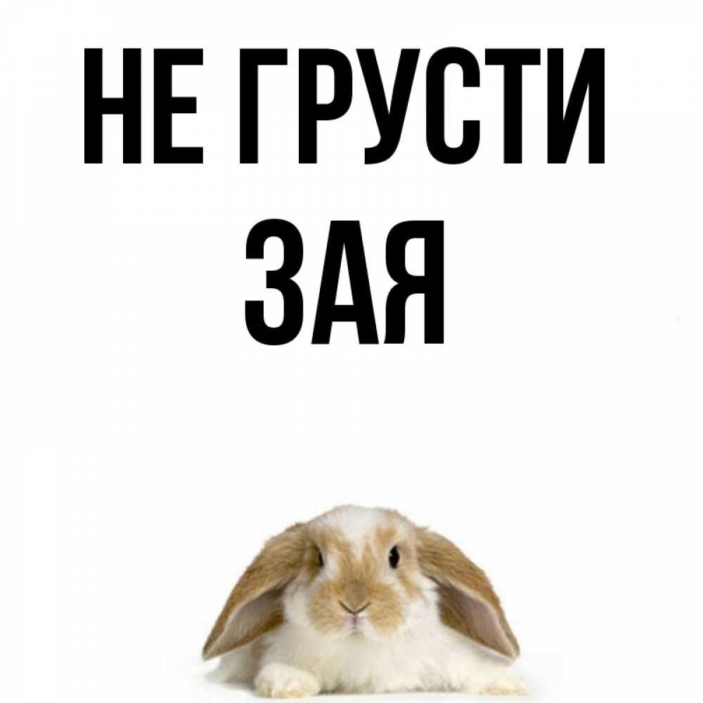 Картинки не грусти зайчик