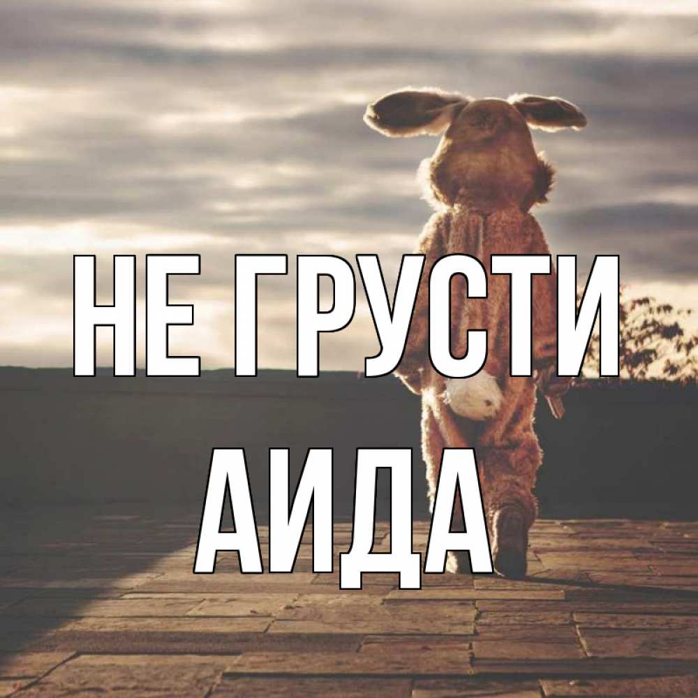 Открытка на каждый день с именем, Аида Не грусти со спины Прикольная открытка с пожеланием онлайн скачать бесплатно 