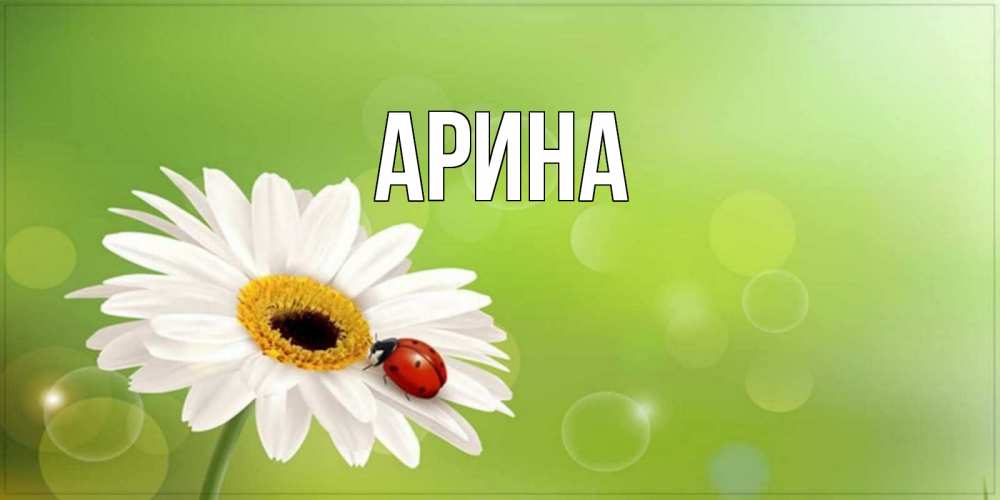 Открытка на каждый день с именем, Арина Главная зеленый фон и ромашка Прикольная открытка с пожеланием онлайн скачать бесплатно 