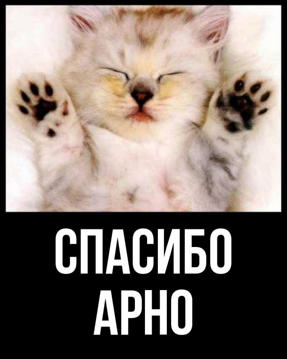 Открытка на каждый день с именем, Арно Спасибо маленький котенок Прикольная открытка с пожеланием онлайн скачать бесплатно 