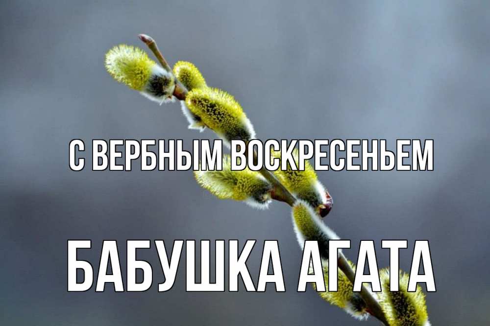 Открытка на каждый день с именем, Бабушка-Агата С вербным воскресеньем верба Прикольная открытка с пожеланием онлайн скачать бесплатно 