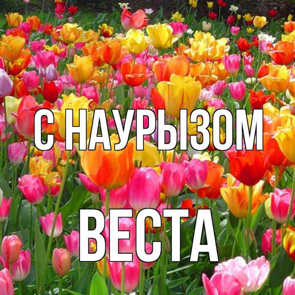 Открытка на каждый день с именем, Веста С наурызом праздник весны наурыз 4 Прикольная открытка с пожеланием онлайн скачать бесплатно 