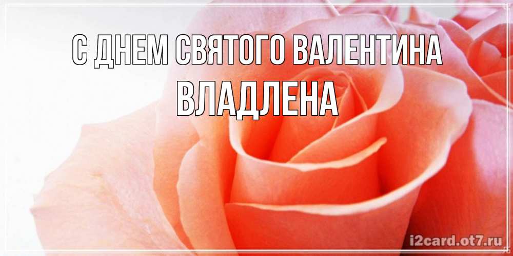 Открытка на каждый день с именем, Владлена С днем Святого Валентина открытка на день Святого Валентина с розовой розой Прикольная открытка с пожеланием онлайн скачать бесплатно 