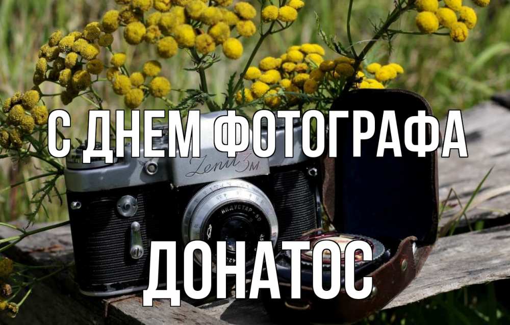 Открытка на каждый день с именем, Донатос С днем фотографа с днем фотографа Прикольная открытка с пожеланием онлайн скачать бесплатно 