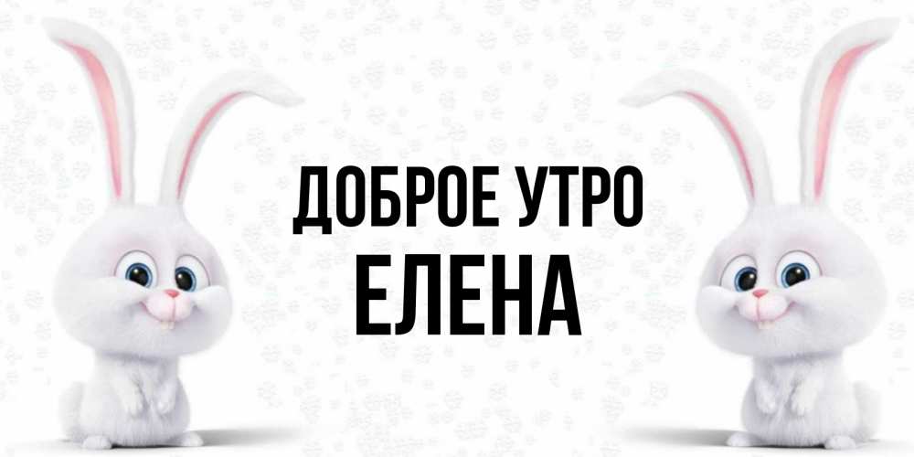 Открытка на каждый день с именем, Елена Доброе утро кролики с длинными ушками Прикольная открытка с пожеланием онлайн скачать бесплатно 