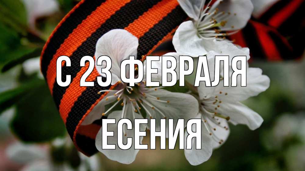 Открытка на каждый день с именем, Есения С 23 февраля 23 февраля Прикольная открытка с пожеланием онлайн скачать бесплатно 
