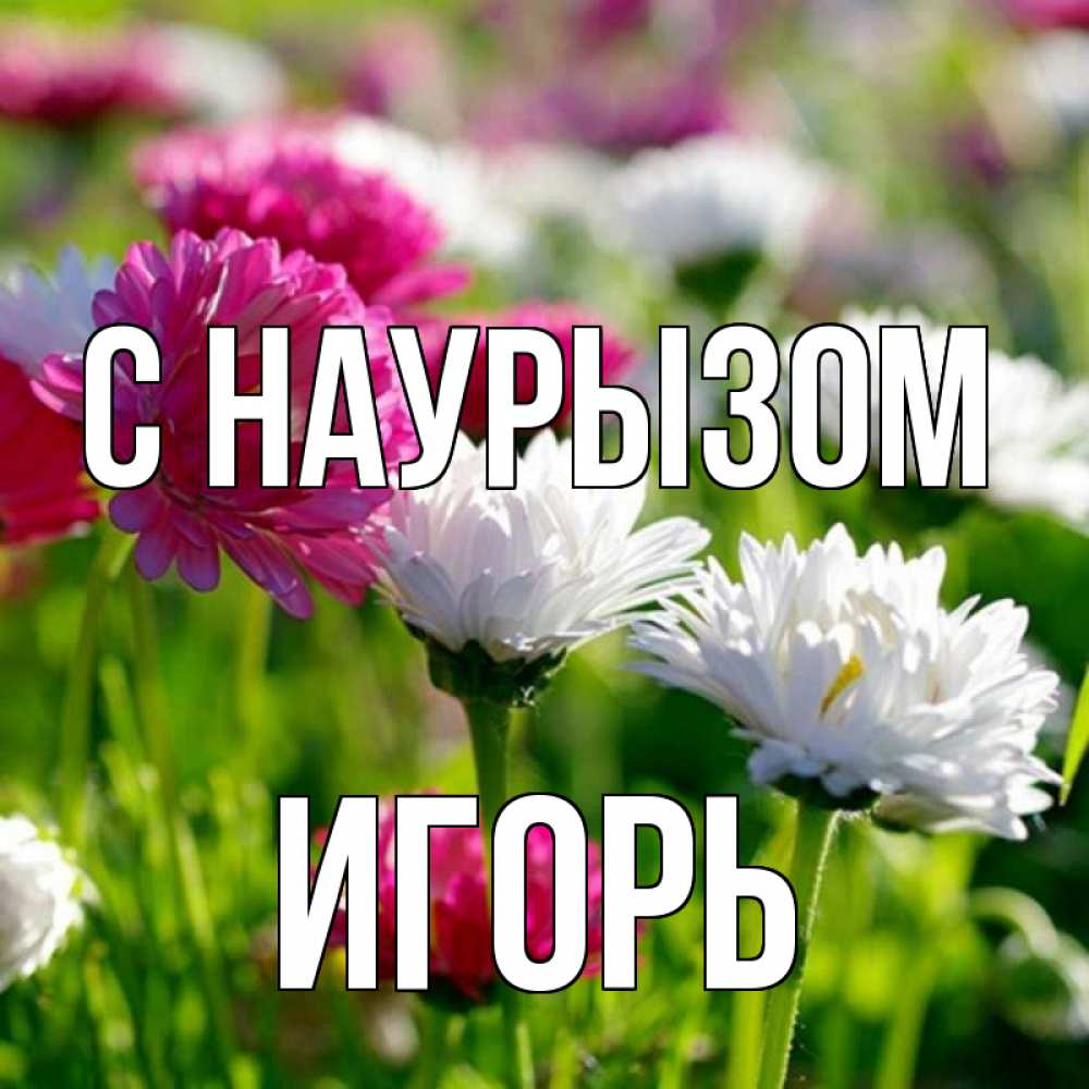 Открытка на каждый день с именем, Игорь С наурызом праздник весны наурыз красота Прикольная открытка с пожеланием онлайн скачать бесплатно 