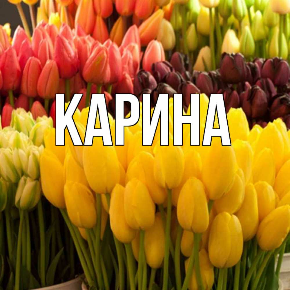 Открытка на каждый день с именем, Карина Главная цветы Прикольная открытка с пожеланием онлайн скачать бесплатно 