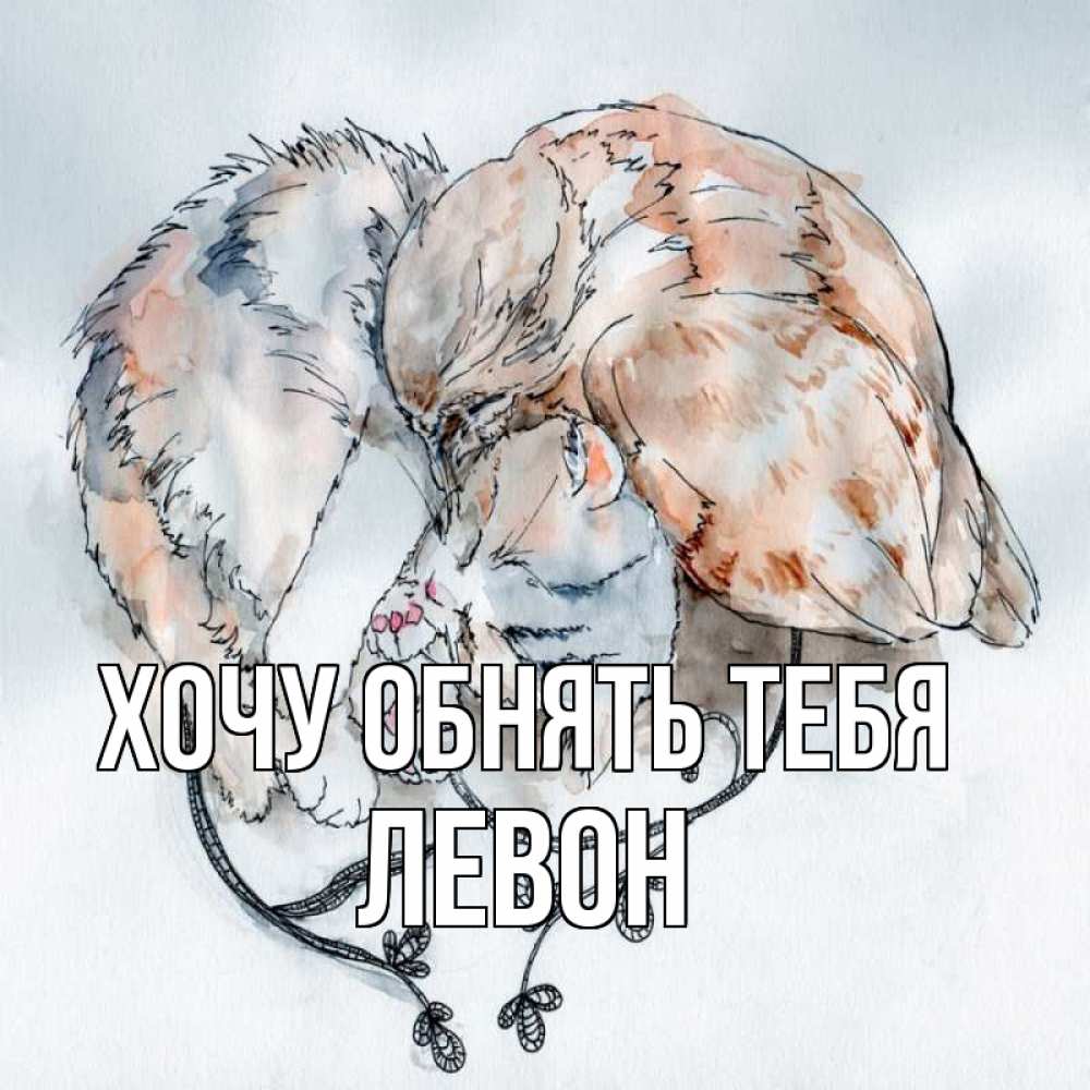 Открытка на каждый день с именем, Левон Хочу обнять тебя можно быть вместе даже когда очень разные Прикольная открытка с пожеланием онлайн скачать бесплатно 