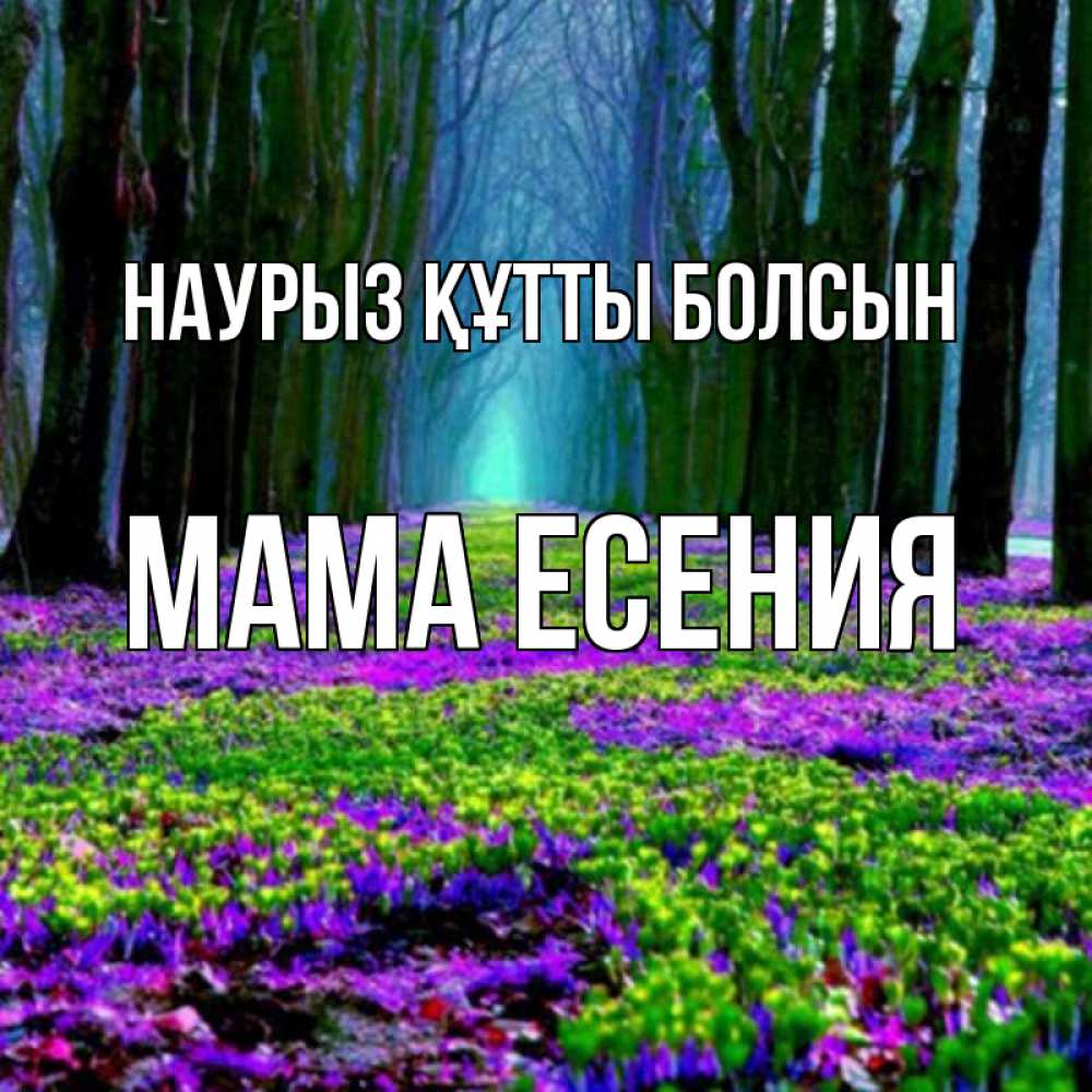 Открытка на каждый день с именем, Мама-Есения Наурыз құтты болсын фиолетовые цветы в лесу 1 Прикольная открытка с пожеланием онлайн скачать бесплатно 