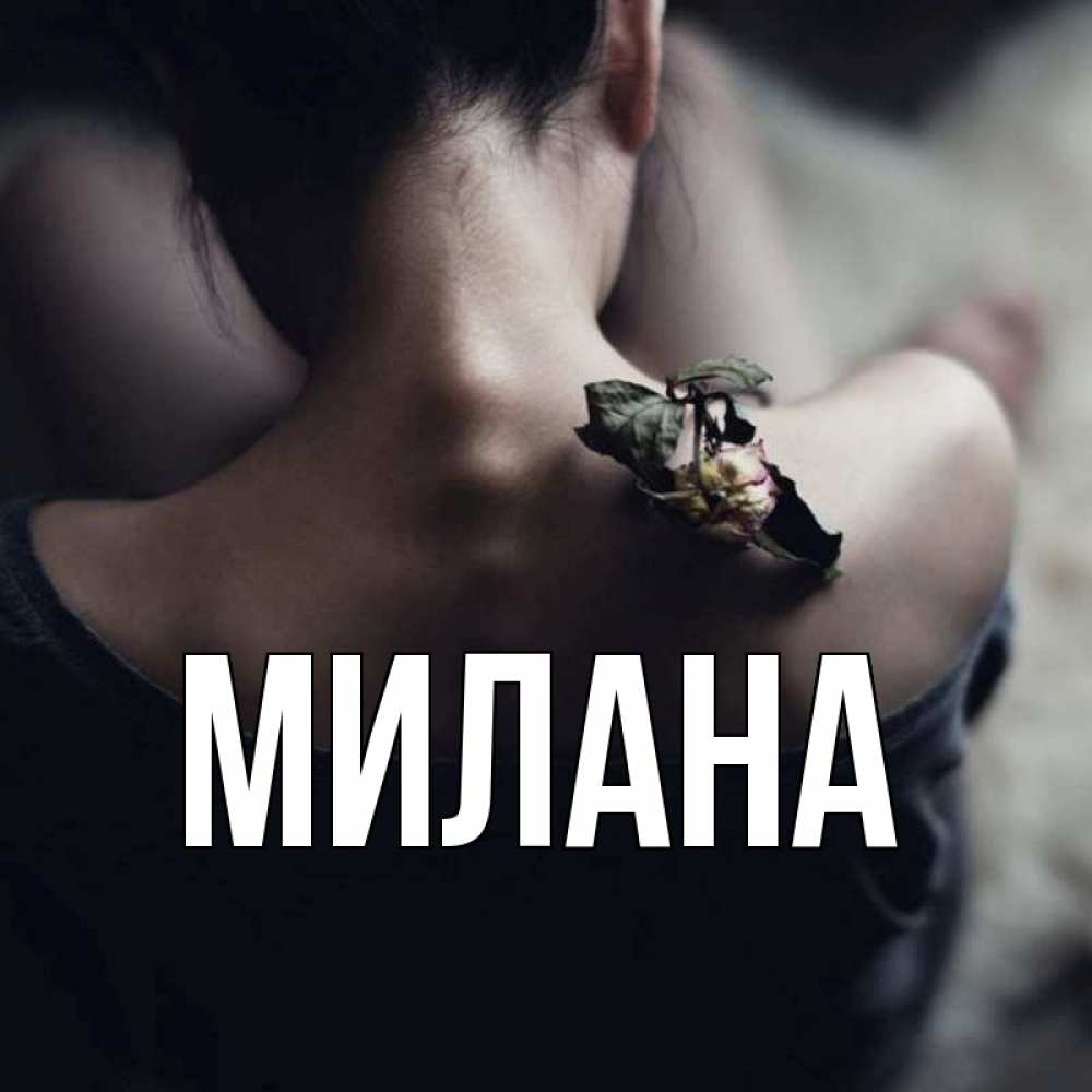 Открытка на каждый день с именем, Милана Главная засох цветок Прикольная открытка с пожеланием онлайн скачать бесплатно 
