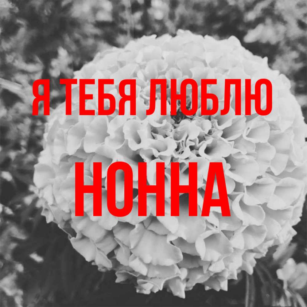 Открытка на каждый день с именем, Нонна Я тебя люблю подпись Прикольная открытка с пожеланием онлайн скачать бесплатно 