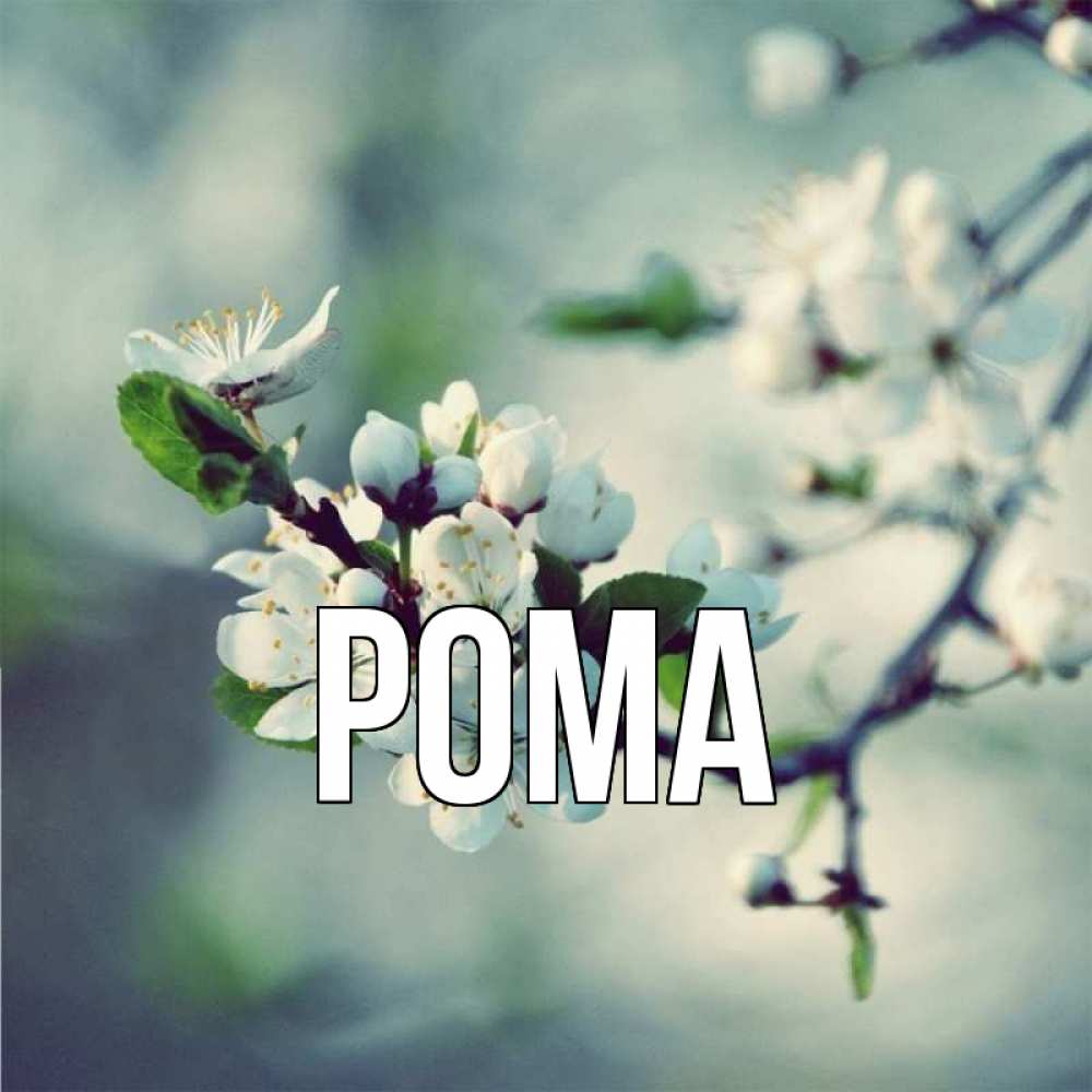 Открытка на каждый день с именем, Рома Главная весна Прикольная открытка с пожеланием онлайн скачать бесплатно 