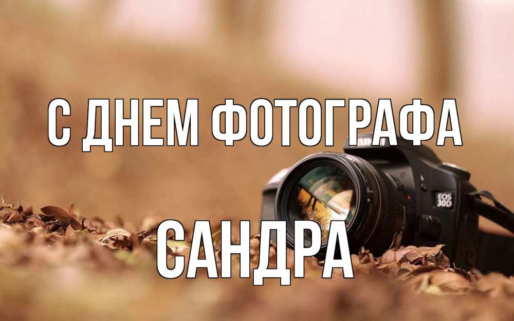 Открытка на каждый день с именем, Сандра С днем фотографа с днем фотографа Прикольная открытка с пожеланием онлайн скачать бесплатно 