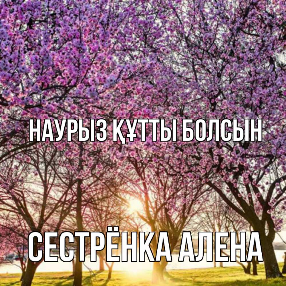 Открытка на каждый день с именем, Сестрёнка-Алена Наурыз құтты болсын наурыз Прикольная открытка с пожеланием онлайн скачать бесплатно 