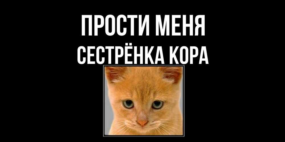 Открытка на каждый день с именем, Сестрёнка-Кора Прости меня рыжий грустный кот просит прощения Прикольная открытка с пожеланием онлайн скачать бесплатно 