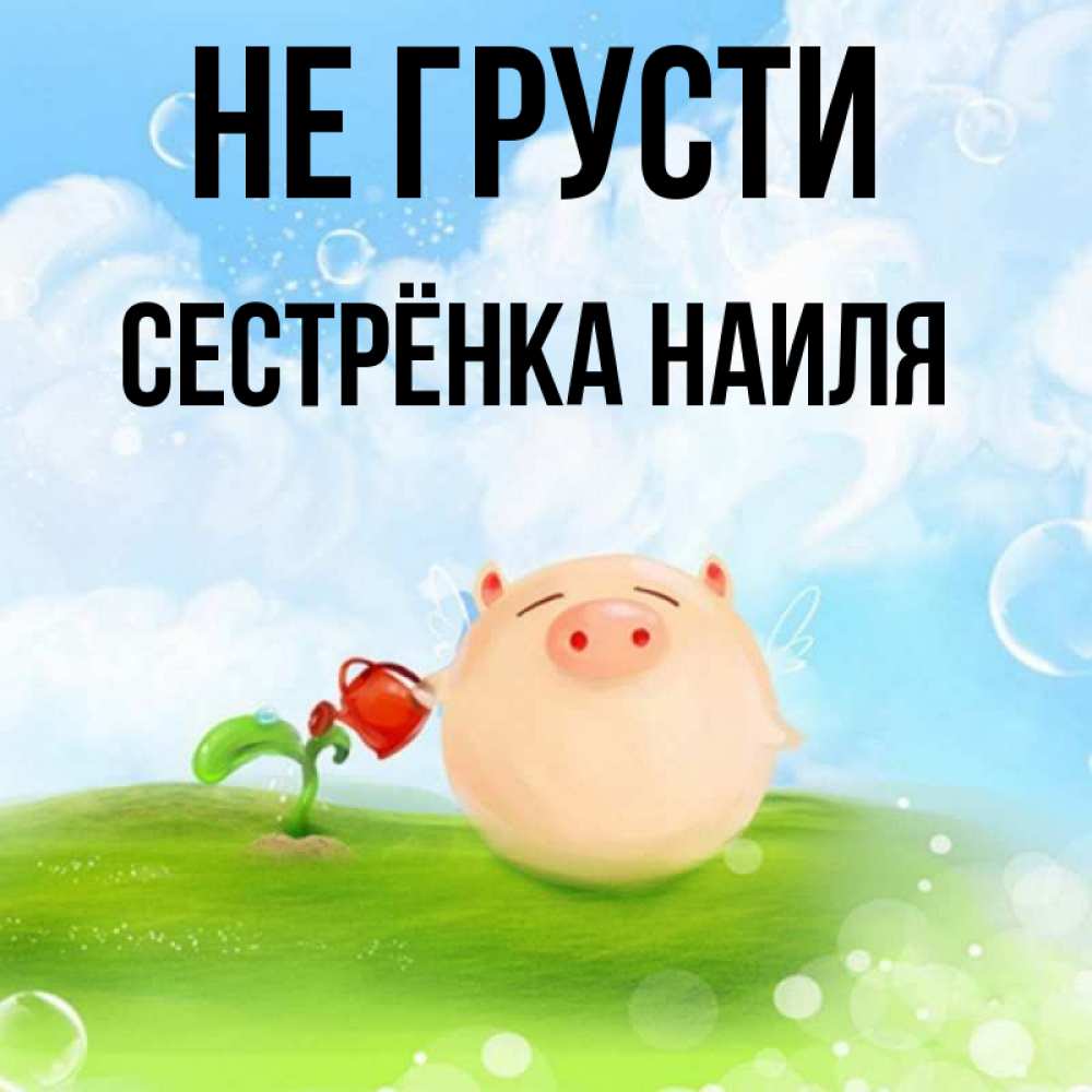 Открытка на каждый день с именем, Сестрёнка-Наиля Не грусти поливает цветок порося Прикольная открытка с пожеланием онлайн скачать бесплатно 