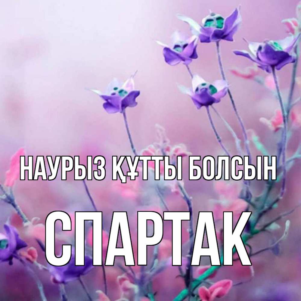 Открытка на каждый день с именем, Спартак Наурыз құтты болсын наурыз  2 Прикольная открытка с пожеланием онлайн скачать бесплатно 
