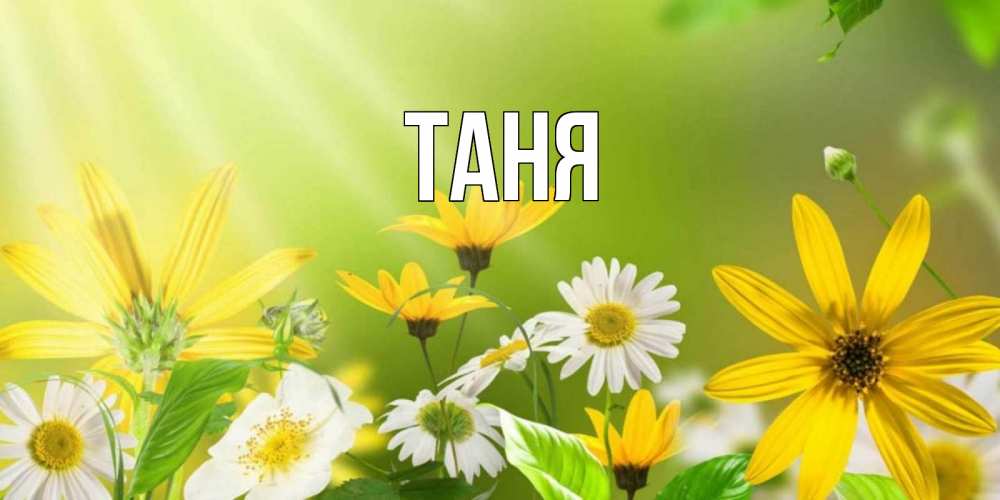 Открытка на каждый день с именем, Таня Главная цветы Прикольная открытка с пожеланием онлайн скачать бесплатно 