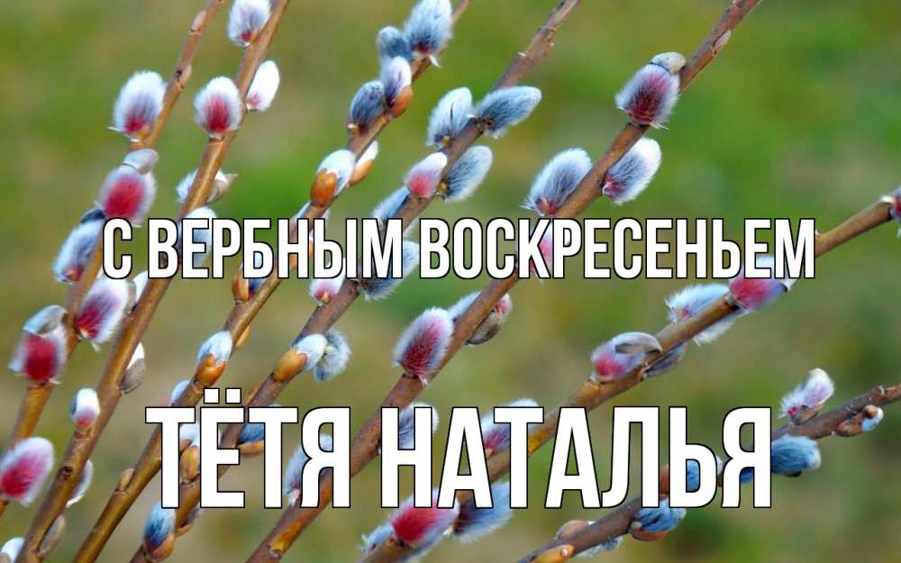 Открытка на каждый день с именем, Тётя-Наталья С вербным воскресеньем верба Прикольная открытка с пожеланием онлайн скачать бесплатно 
