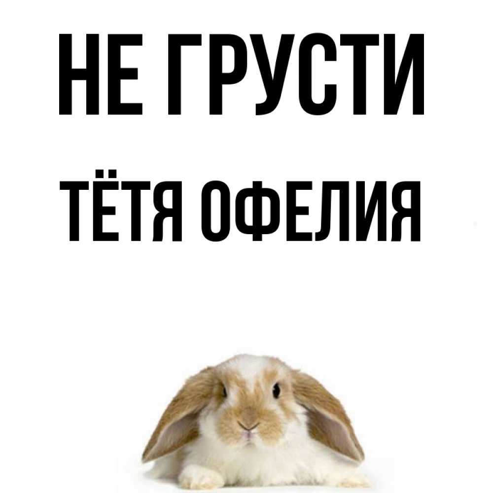 Открытка на каждый день с именем, Тётя-Офелия Не грусти коричнево белый заяц с большими ушками Прикольная открытка с пожеланием онлайн скачать бесплатно 