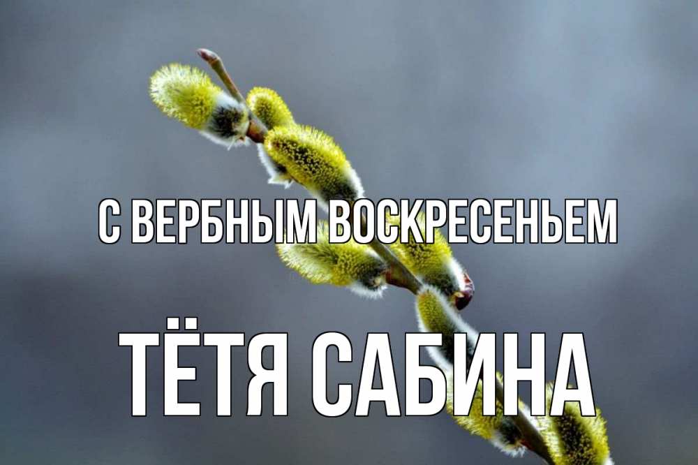 Открытка на каждый день с именем, Тётя-Сабина С вербным воскресеньем верба Прикольная открытка с пожеланием онлайн скачать бесплатно 