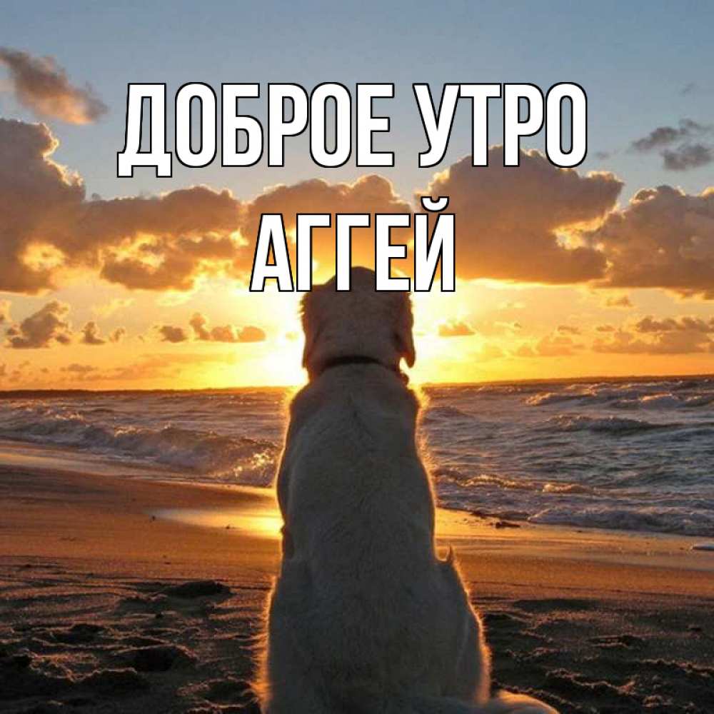 Открытка на каждый день с именем, Аггей Доброе утро восход солнца Прикольная открытка с пожеланием онлайн скачать бесплатно 