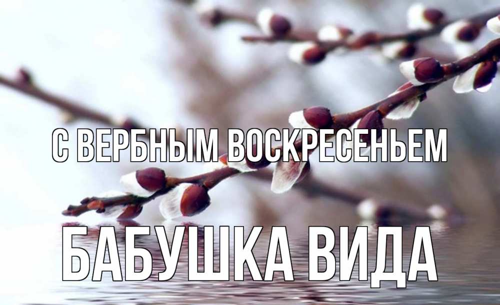 Открытка на каждый день с именем, Бабушка-Вида С вербным воскресеньем верба, ручей Прикольная открытка с пожеланием онлайн скачать бесплатно 