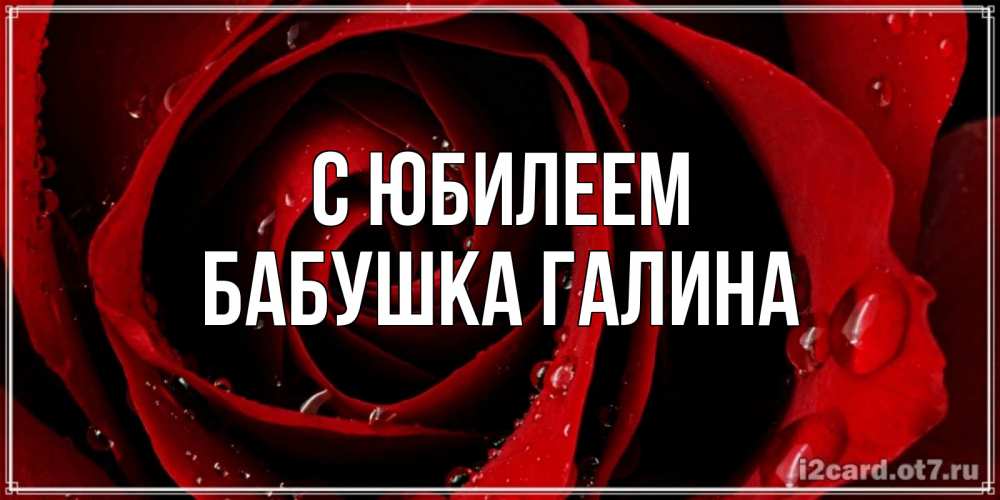 Открытка на каждый день с именем, Бабушка-Галина С юбилеем крупная бордовая роза Прикольная открытка с пожеланием онлайн скачать бесплатно 