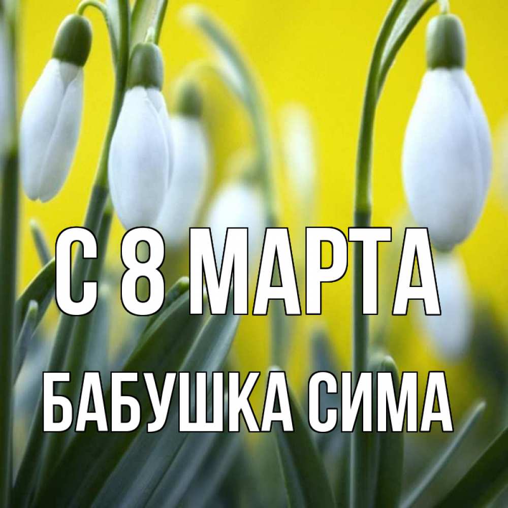 Открытка на каждый день с именем, Бабушка-Сима С 8 МАРТА весенние цветы Прикольная открытка с пожеланием онлайн скачать бесплатно 