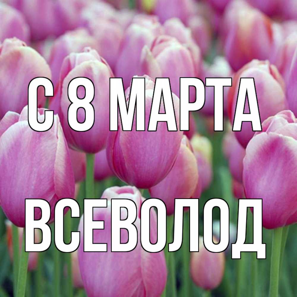 Открытка на каждый день с именем, Всеволод С 8 МАРТА на международный женский день 3 Прикольная открытка с пожеланием онлайн скачать бесплатно 