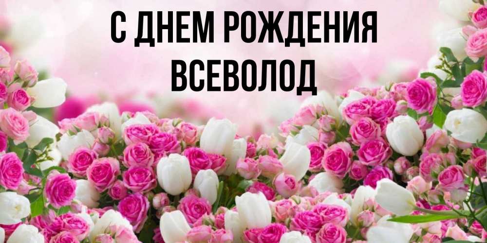 Открытка на каждый день с именем, Всеволод С днем рождения открытка с разными розами Прикольная открытка с пожеланием онлайн скачать бесплатно 