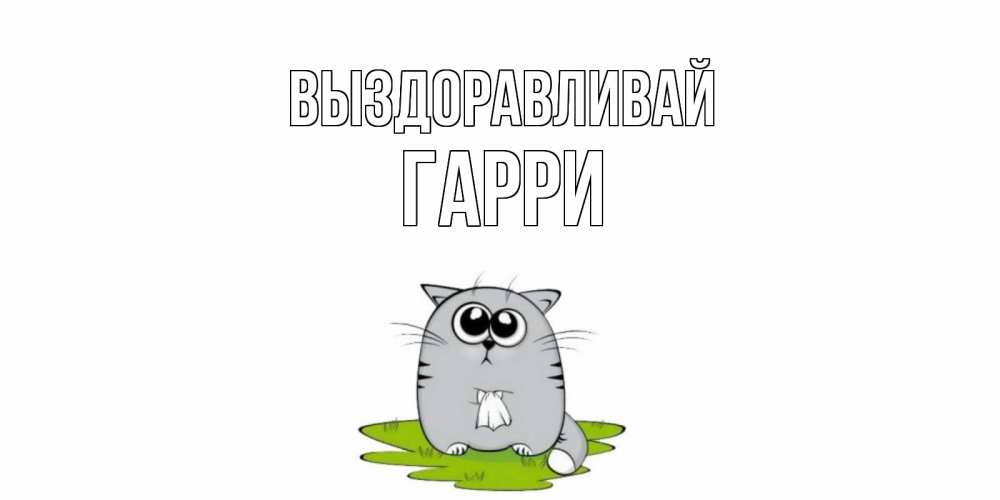 Открытка на каждый день с именем, Гарри Выздоравливай кот и открытки про выздоровление Прикольная открытка с пожеланием онлайн скачать бесплатно 