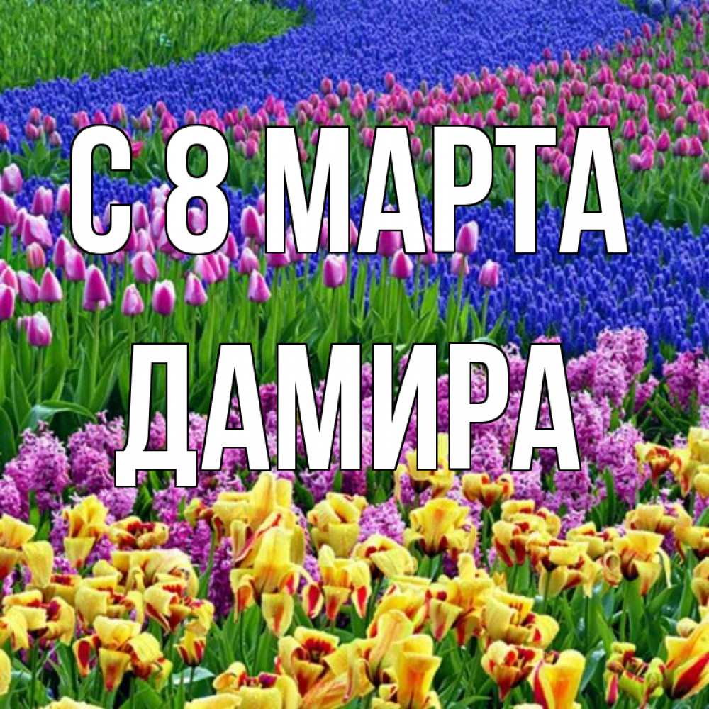Открытка на каждый день с именем, Дамира С 8 МАРТА цветы Прикольная открытка с пожеланием онлайн скачать бесплатно 