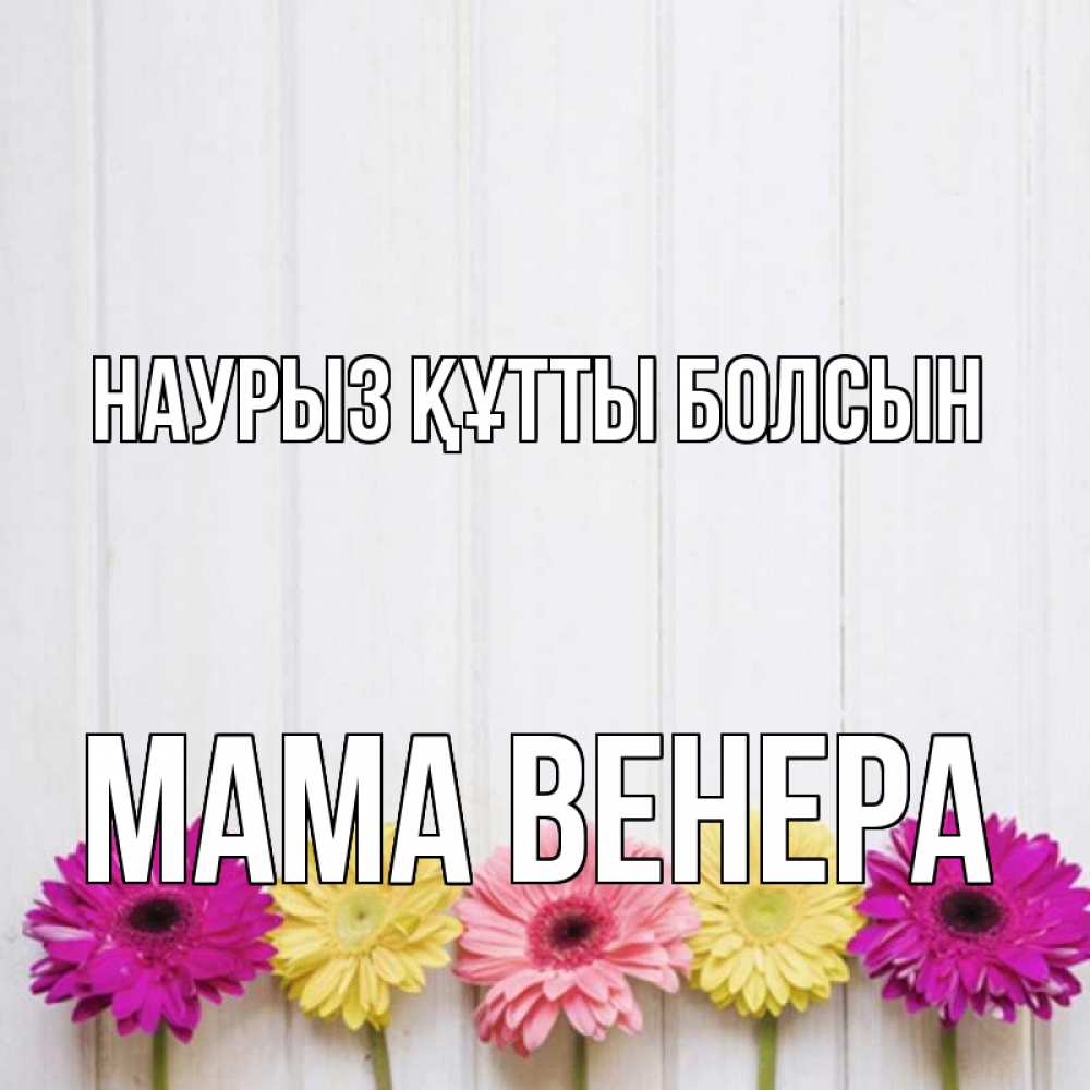 Открытка на каждый день с именем, Мама-Венера Наурыз құтты болсын женщинам 1 Прикольная открытка с пожеланием онлайн скачать бесплатно 