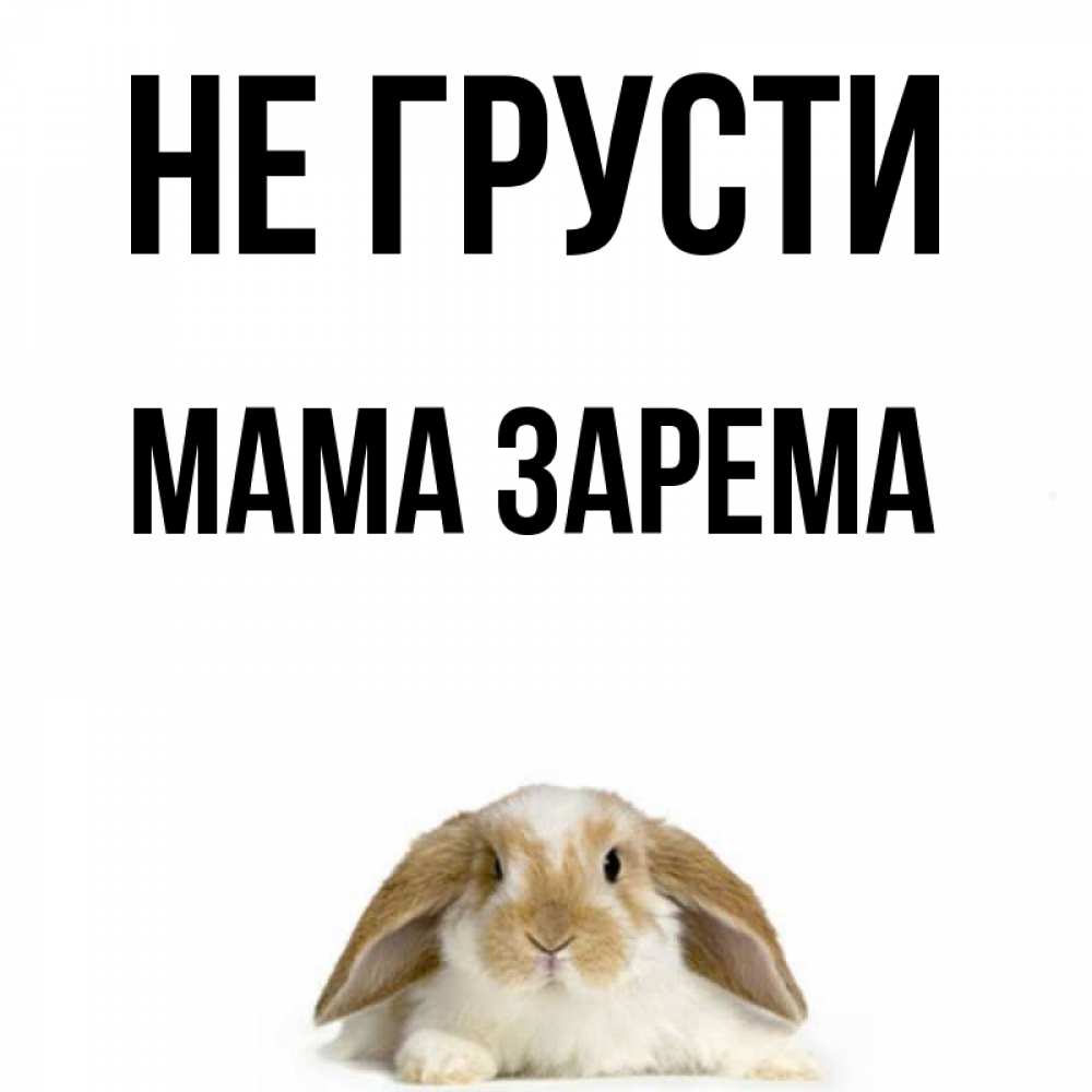 Открытка на каждый день с именем, Мама-Зарема Не грусти коричнево белый заяц с большими ушками Прикольная открытка с пожеланием онлайн скачать бесплатно 