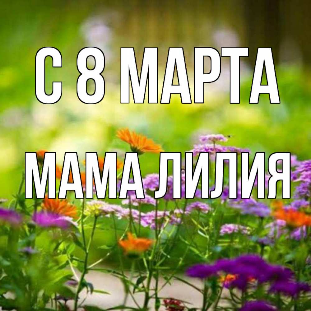 Открытка на каждый день с именем, Мама-Лилия С 8 МАРТА цветы Прикольная открытка с пожеланием онлайн скачать бесплатно 
