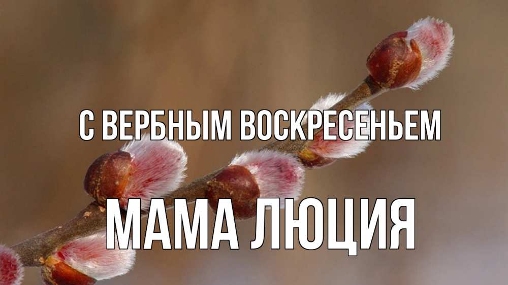 Открытка на каждый день с именем, Мама-Люция С вербным воскресеньем верба Прикольная открытка с пожеланием онлайн скачать бесплатно 