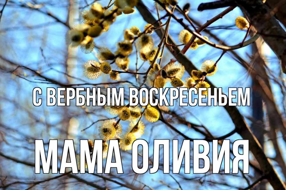 Открытка на каждый день с именем, Мама-Оливия С вербным воскресеньем верба Прикольная открытка с пожеланием онлайн скачать бесплатно 