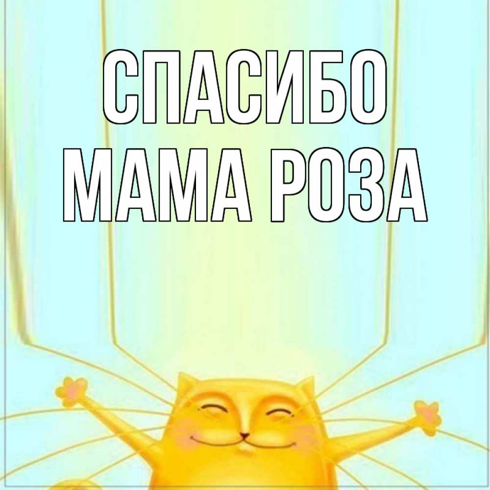 Открытка на каждый день с именем, Мама-Роза Спасибо кот с усами благодарит Прикольная открытка с пожеланием онлайн скачать бесплатно 