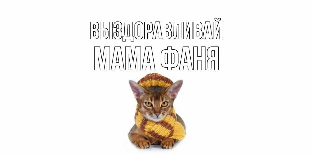 Открытка на каждый день с именем, Мама-Фаня Выздоравливай родные не болейте Прикольная открытка с пожеланием онлайн скачать бесплатно 