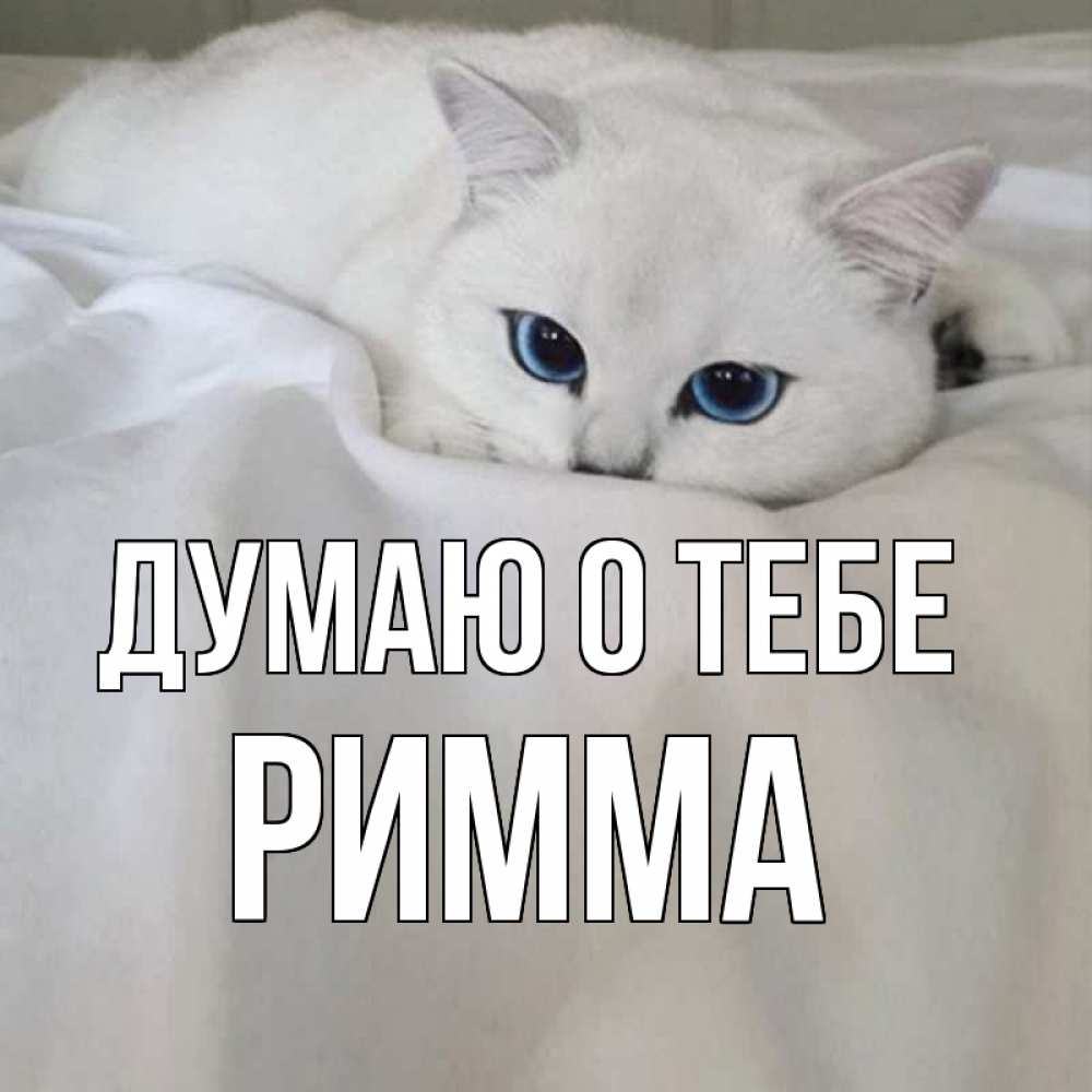 Открытка на каждый день с именем, Римма Думаю о тебе я очень по тебе скучаю и тоскую Прикольная открытка с пожеланием онлайн скачать бесплатно 