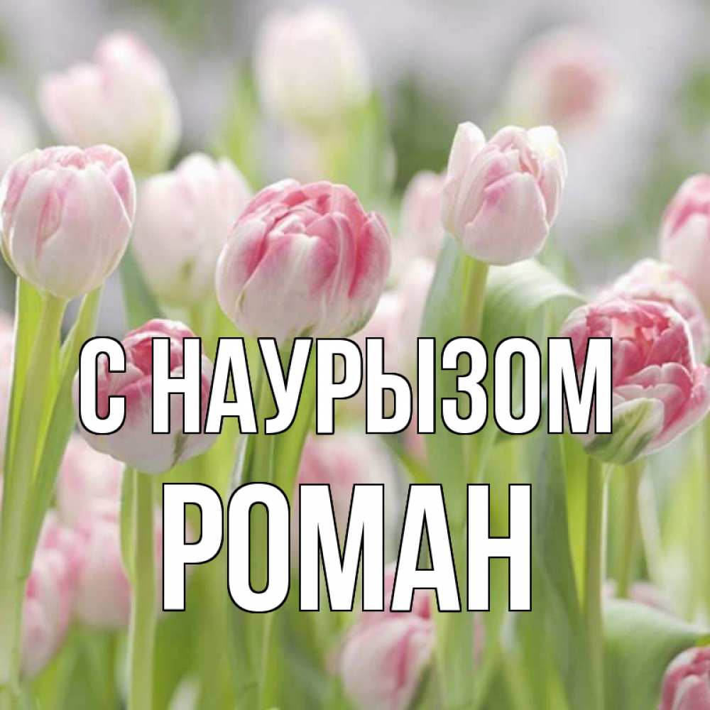 Открытка на каждый день с именем, Роман С наурызом цветы Прикольная открытка с пожеланием онлайн скачать бесплатно 