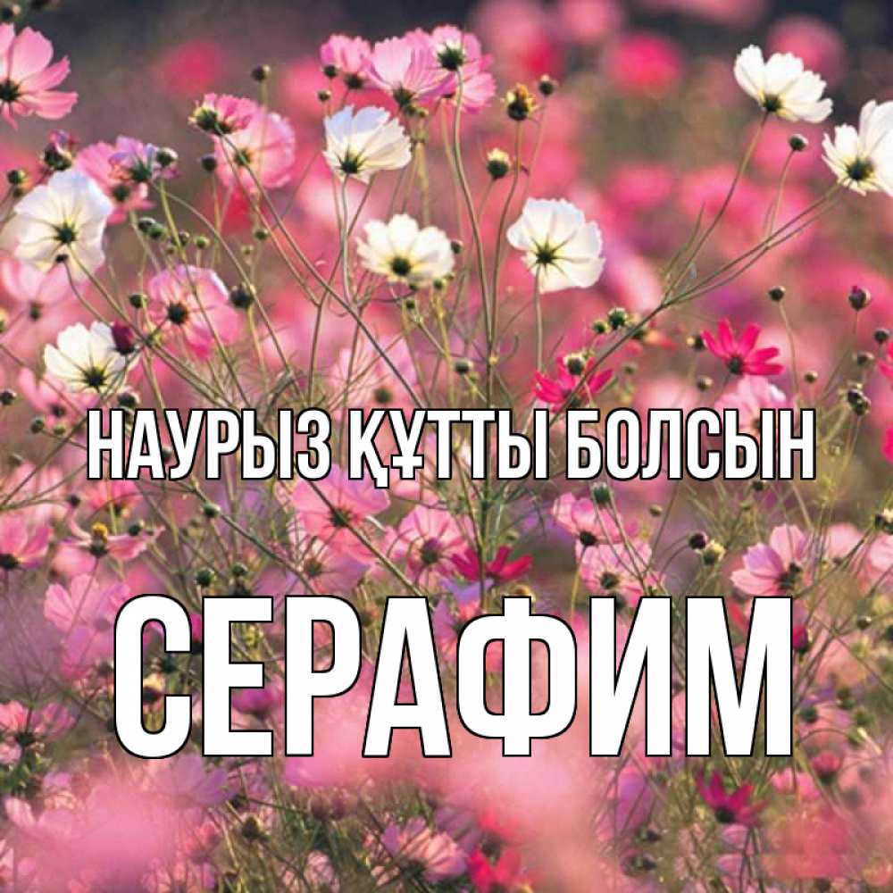 Открытка на каждый день с именем, Серафим Наурыз құтты болсын красиво 1 Прикольная открытка с пожеланием онлайн скачать бесплатно 
